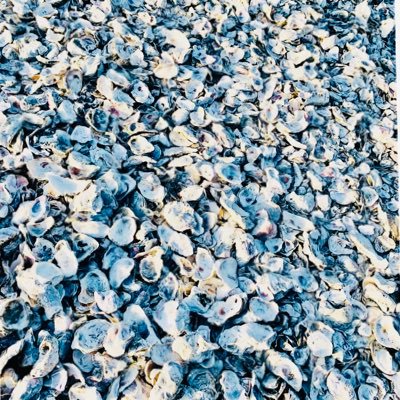 Sheriff95128815's profile picture. 