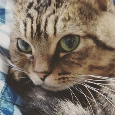 usa80540805's profile picture.