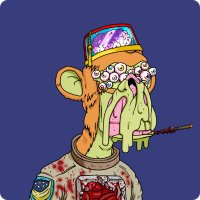not4sale.eth (@not4saleeth) 's Twitter Profile Photo not4sale.eth (@not4saleeth) 's Twitter Profile Photo