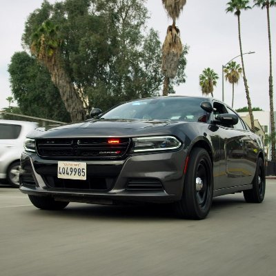 DostynCze's profile picture. 