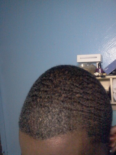 StacksOvaHoes's profile picture. 