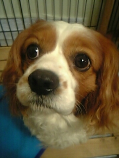 m1r1y2o9's profile picture. 