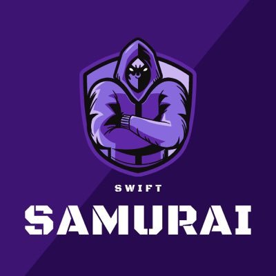 SwiftSamurai1's profile picture. Just a kid playing some games for fun