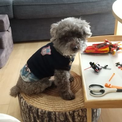 mitsuko42988428's profile picture. 