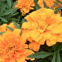 Sung You, Choi - @mulgogi14 - Twitter