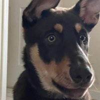 Jesse (@nf2ez) 's Twitter Profile