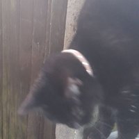Cory (@cory55366305) 's Twitter Profile