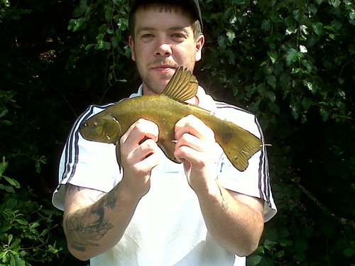 BowserH's profile picture. 