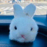⭐️⭐️yoko_chan🐰 (@nagi45chan) 's Twitter Profile
