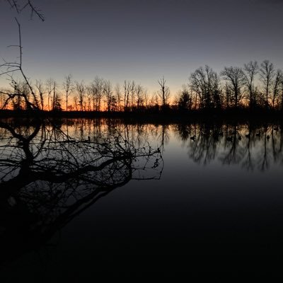 JeffKeener5's profile picture. 