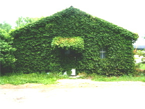 PlantLandbreese's profile picture. Full line Garden Center and Home Brew Supplies