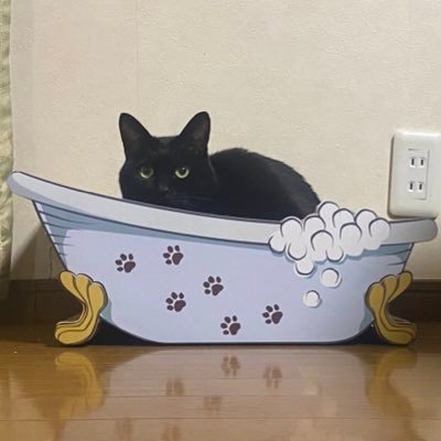 Lf8Ra's profile picture. 