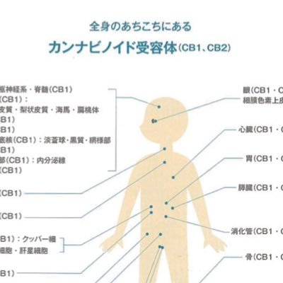 AD_kyoto_101's profile picture. CBD（THCフリー）は健康のため。あとは投資情報を集めるため。