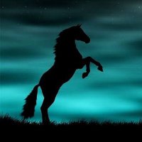Karaca Beg (@karacabeg26) 's Twitter Profile Photo