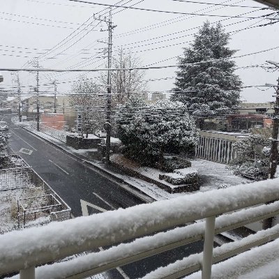 AnhDucJP's profile picture. 