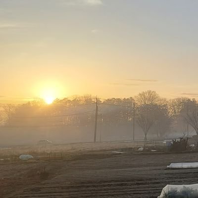 hiyolabo's profile picture. TWやったりPSO2NGSやったりしてるライトゲーマーです。最近はネトゲしないでコンシューマやってたり……
お絵描きしたくて勉強はじめた、いつまでやる気が続くか不明……モフモフとフサフサを描いているときに生を実感できる