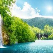 ho su beo (@hosubeo1) 's Twitter Profile