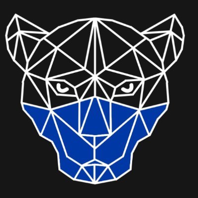 HackGSU is a 100% volunteer-run event held by the GSU Student Chapter of the ACM!