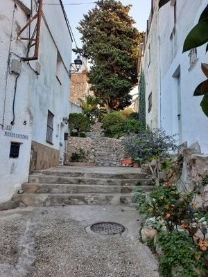 carmezquerra's profile picture. 