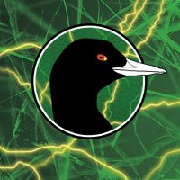 Paul “Coot” Williams (@cootslures) 's Twitter Profile Photo