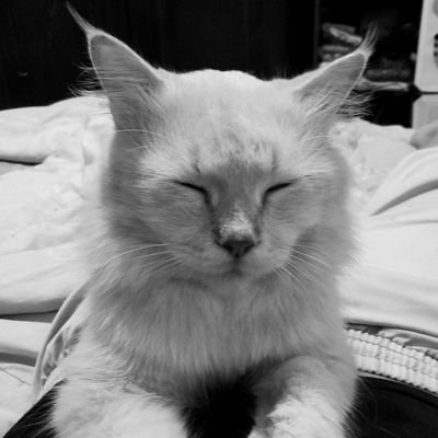 farhanfadillafa's profile picture. 