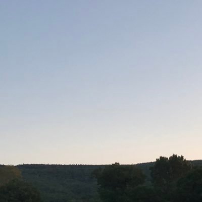 ZacAttack040's profile picture. I know ball (sometimes)