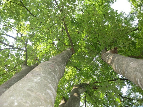 m_s_t_g_'s profile picture. 誰にも言えない本音。思ったこと。