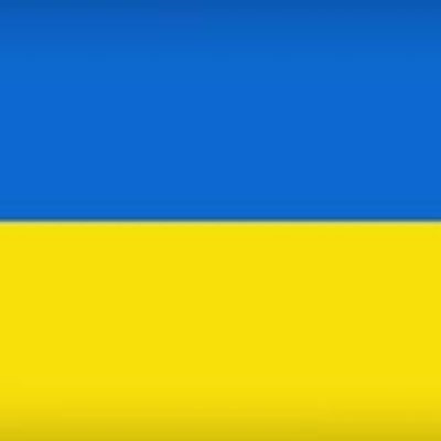 NealBeets's profile picture. 