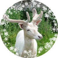 白いの❄ (@neige1483) 's Twitter Profile Photo 白いの❄ (@neige1483) 's Twitter Profile Photo