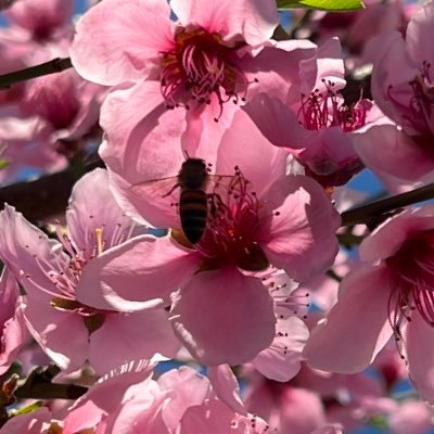 ChampionsCalm's profile picture. #Christian. Volume always precedes price. #Scalping, No DM, Not a financial advice