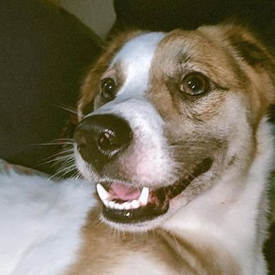 bless_gesmundo's profile picture. 