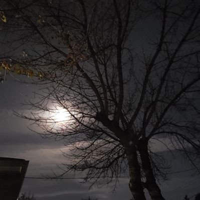 LambertCrest's profile picture. Living the life out west. Feminist and Ally.