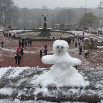 terrybee31's profile picture. Věřím, že se Pipit pouze zaběhl.