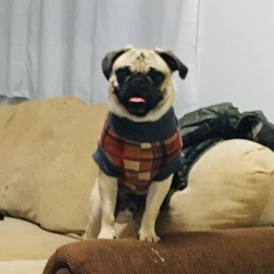 141_pecas's profile picture. Experto en temas de Defensa y Seguridad Hemisférica