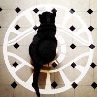 Evy (@avenidamk) 's Twitter Profile Photo Evy (@avenidamk) 's Twitter Profile Photo