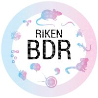 RIKEN BDR (@bdr_riken) Twitter profile photo