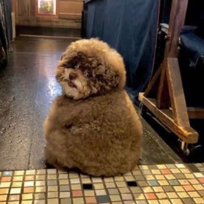 xymyr25gsy's profile picture. Dios mío, qué dificil es vencer la esperanza, qué tenaz y astuta es!