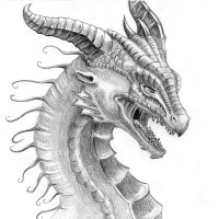 Lucid Dragoness (@dragonesslynn) 's Twitter Profile