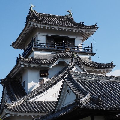 早茶(はやちゃ)さんのプロフィール画像