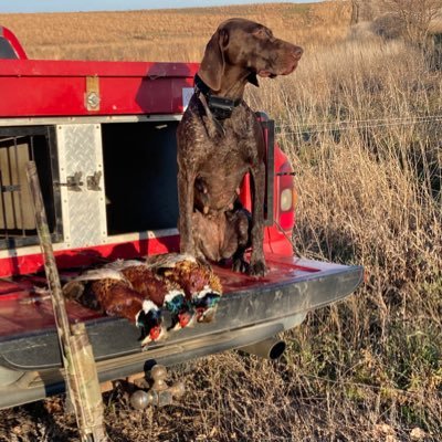 Family, Bird Dogs, Huskers, MAGA 🇺🇸 #saveAmerica, 2A!