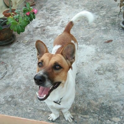 ALANCRI31099918's profile picture. Love the UK/England.. a bit dyslexics... ..married 21 years to a Thai and lived in Thailand for 24 years
