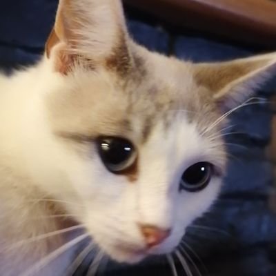 Gaellle79's profile picture. 