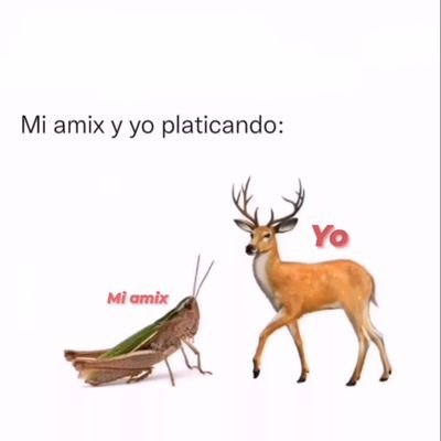 josski88's profile picture. Aquí es para disfrutar 🙌😎