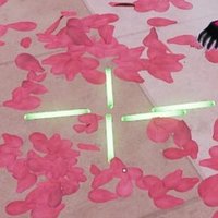 ひめと🐾 (@himeto_o) 's Twitter Profile