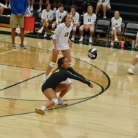 Darby Nixon (@nixondarby) 's Twitter Profile