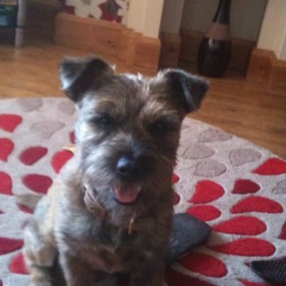 Billy_Gibbons's profile picture. 