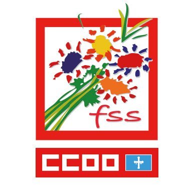 Federación de Sanidad y Sectores Sociosanitarios de CCOO de Asturias