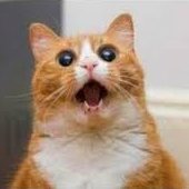 KCpasse's profile picture. 