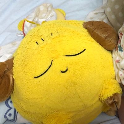首都圏在住30代オタク母の知育系情報収集・経過記録垢。おうち英語勢と繋がりたい。IELTS6.0 / 元塾講師 / 数学・ボドゲ大好き。DWE中古2022.04〜 → 正規フル2024.01〜 / CFK / LB🧢 / トド英語 / トドさんすう / リプ返できない時あり