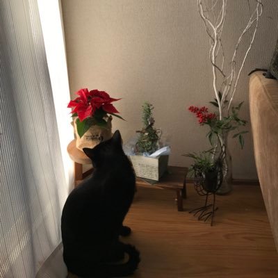 kZmgg8EmeRGitN2's profile picture. 